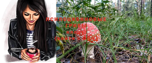 спиды Богородицк